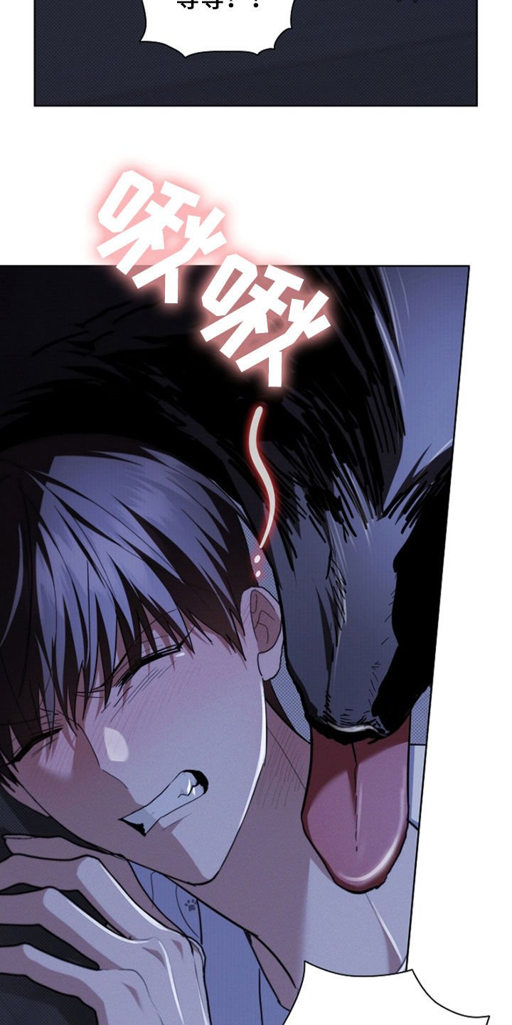 第47章：他想攻击我