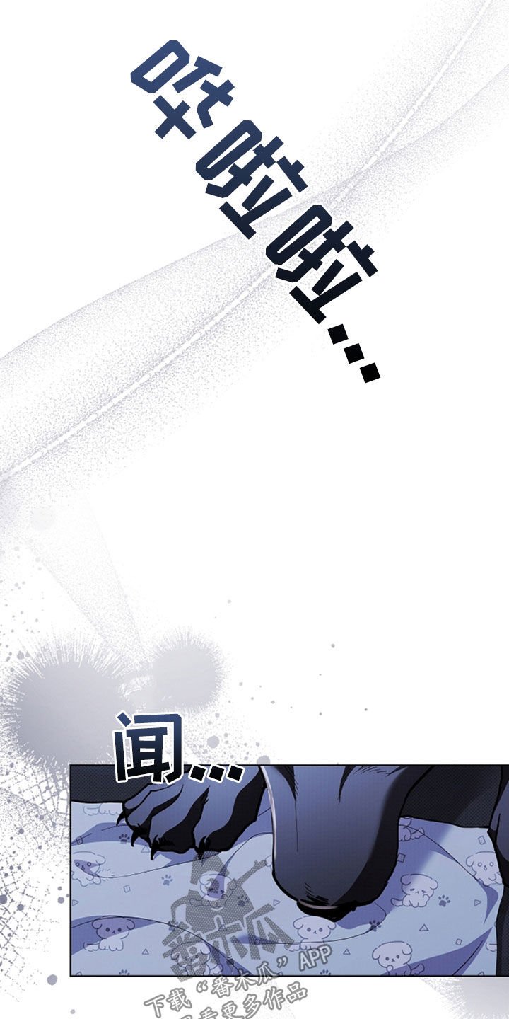 第47章：他想攻击我