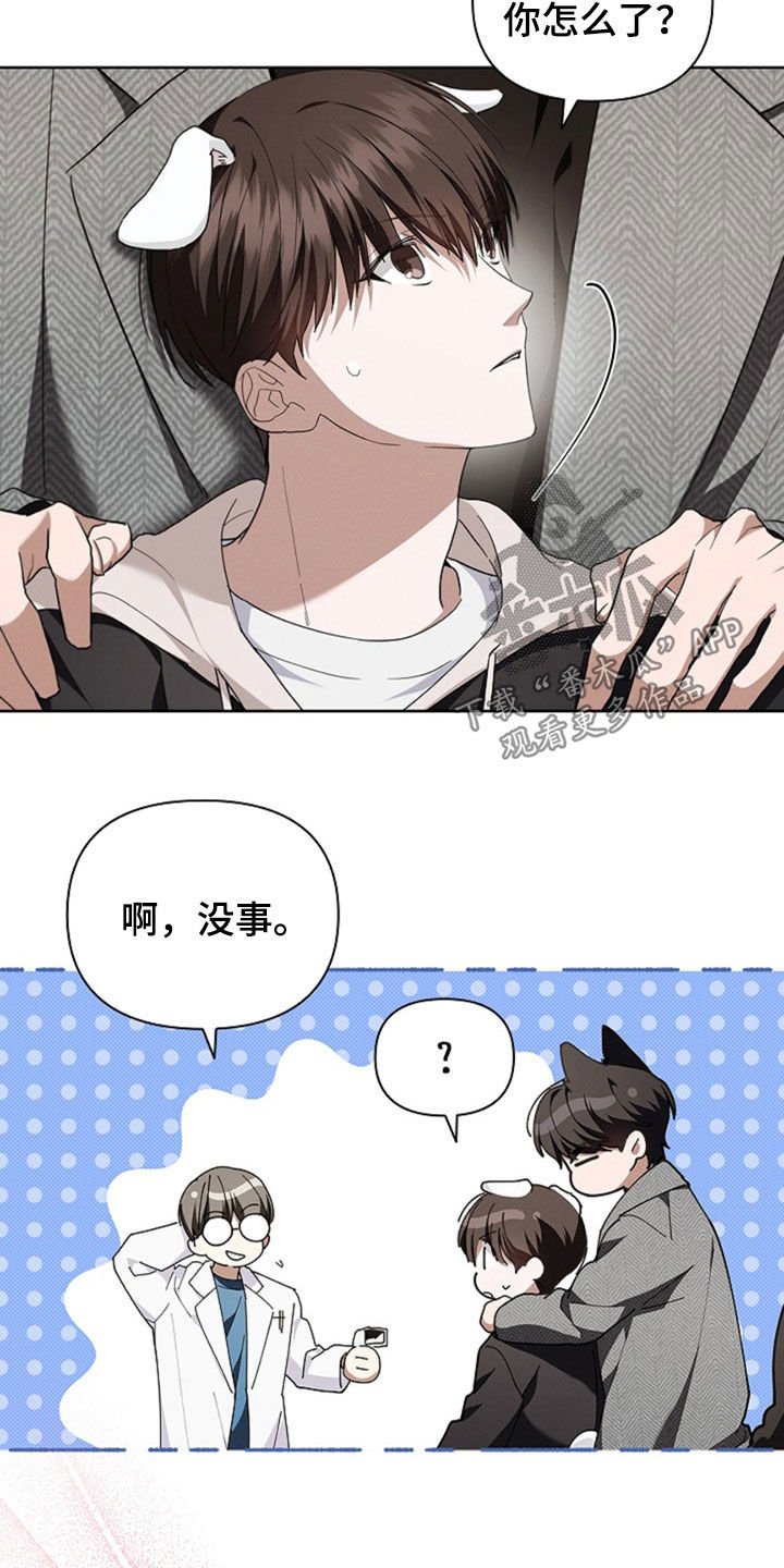 第49章：建议