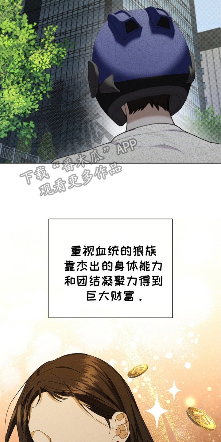 第5章：最后一票