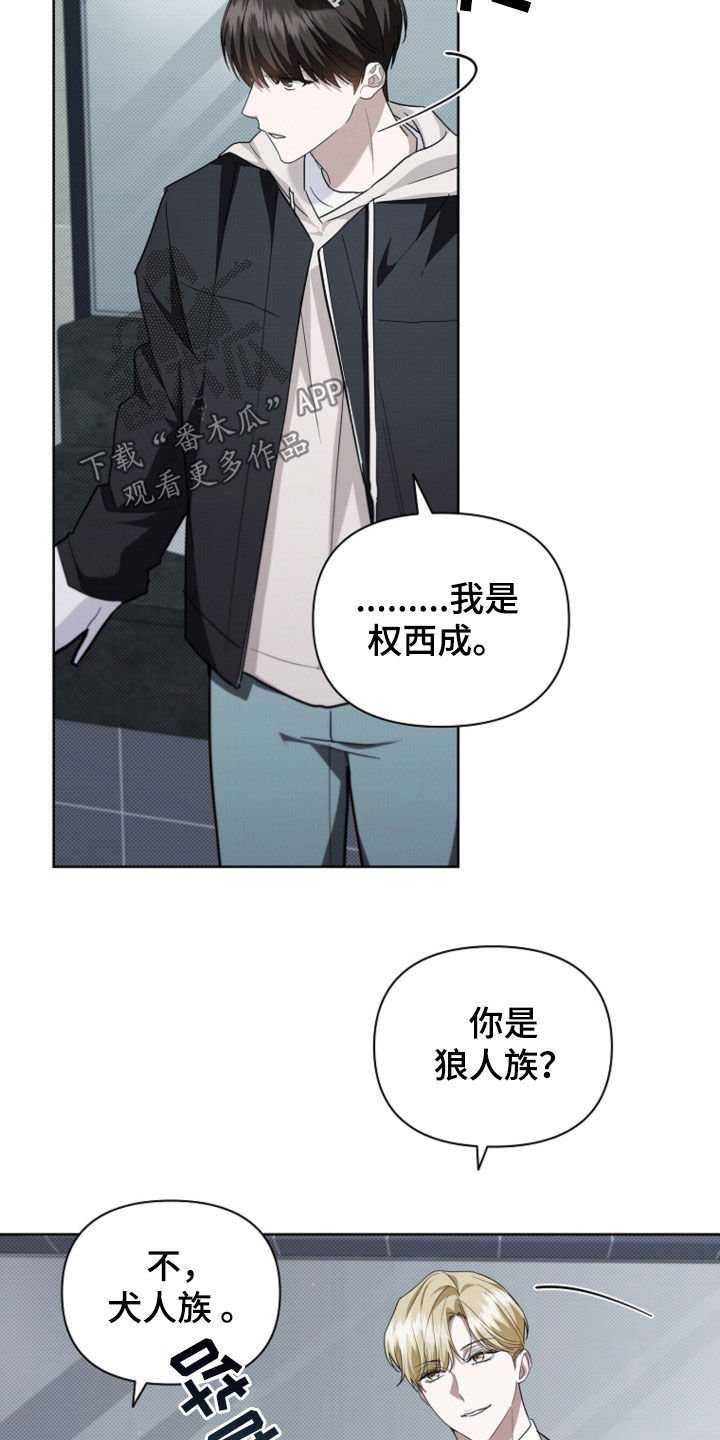 第51章：我闯祸了
