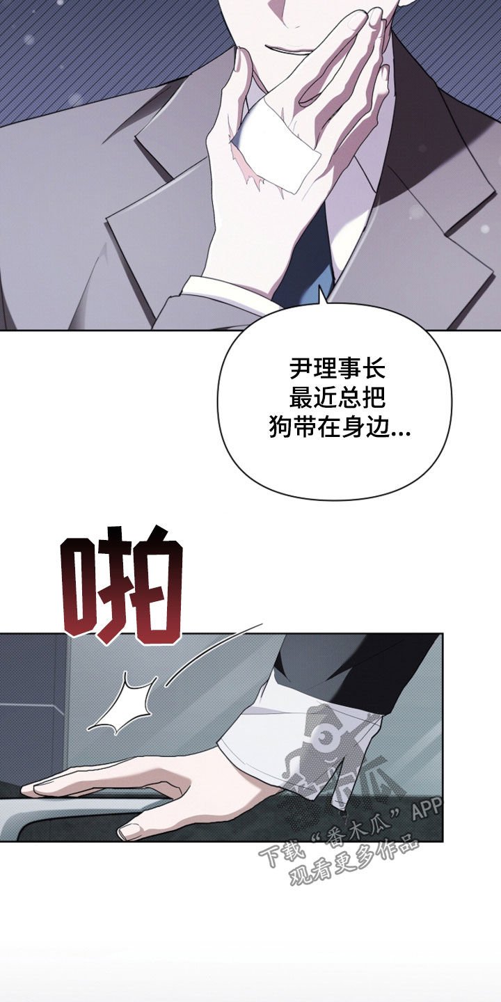 第51章：我闯祸了