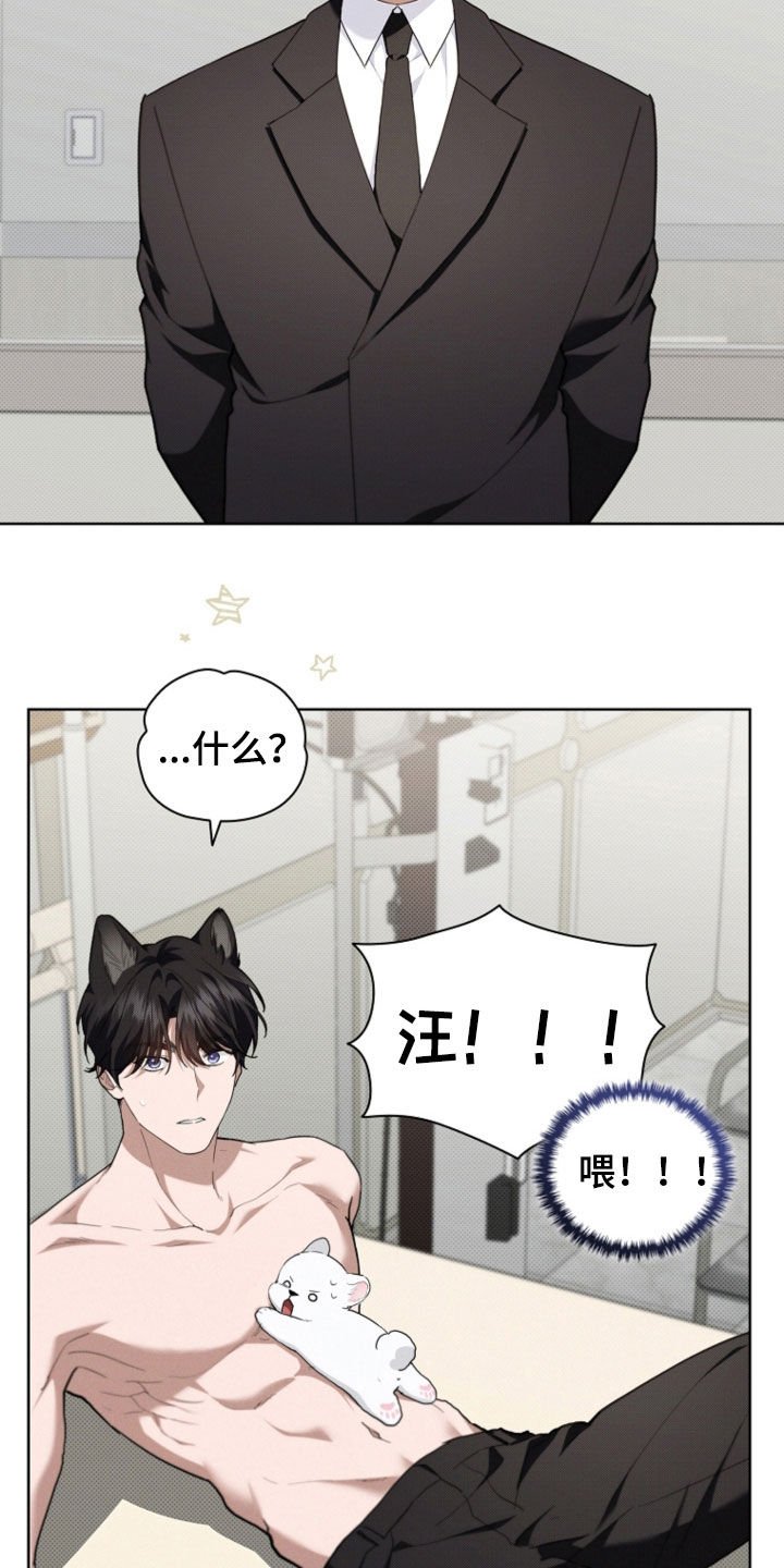 第52章：真是个神经病