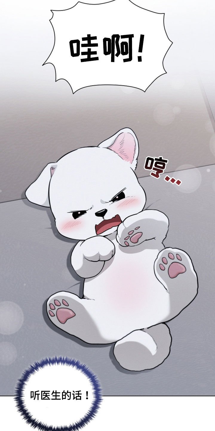第55章：雇佣