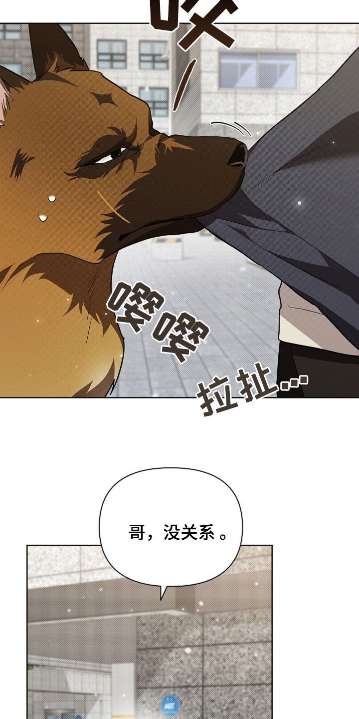第56章：叛徒