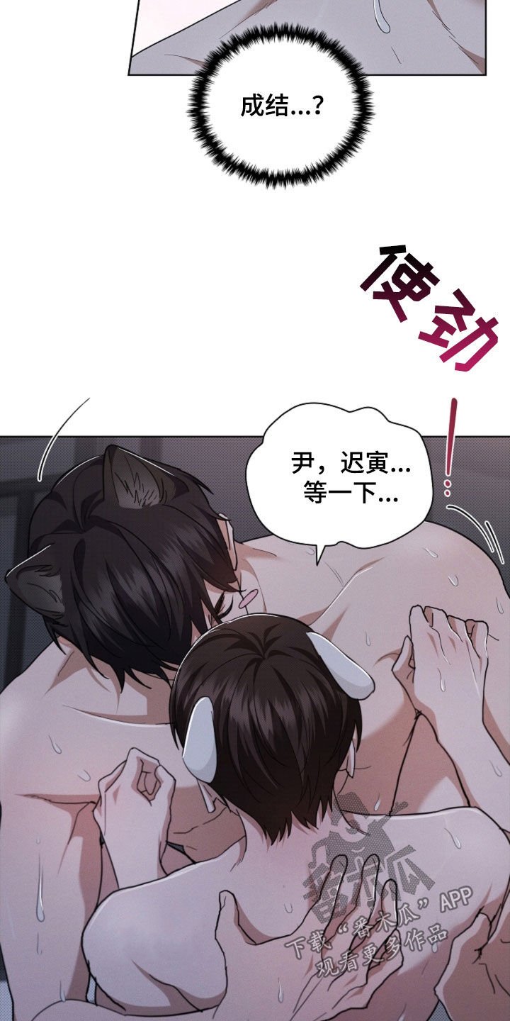 第60章：成结
