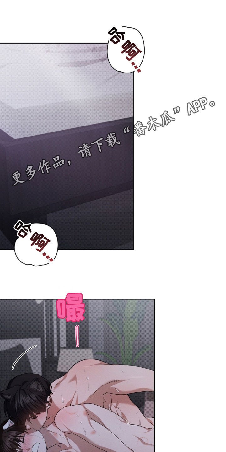 第61章：真好看