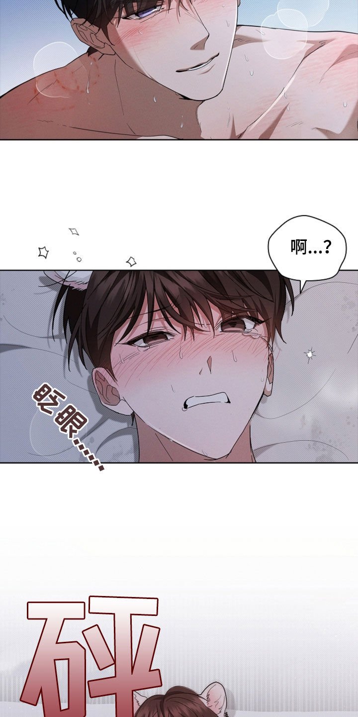 第61章：真好看