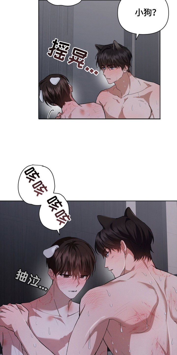 第61章：真好看