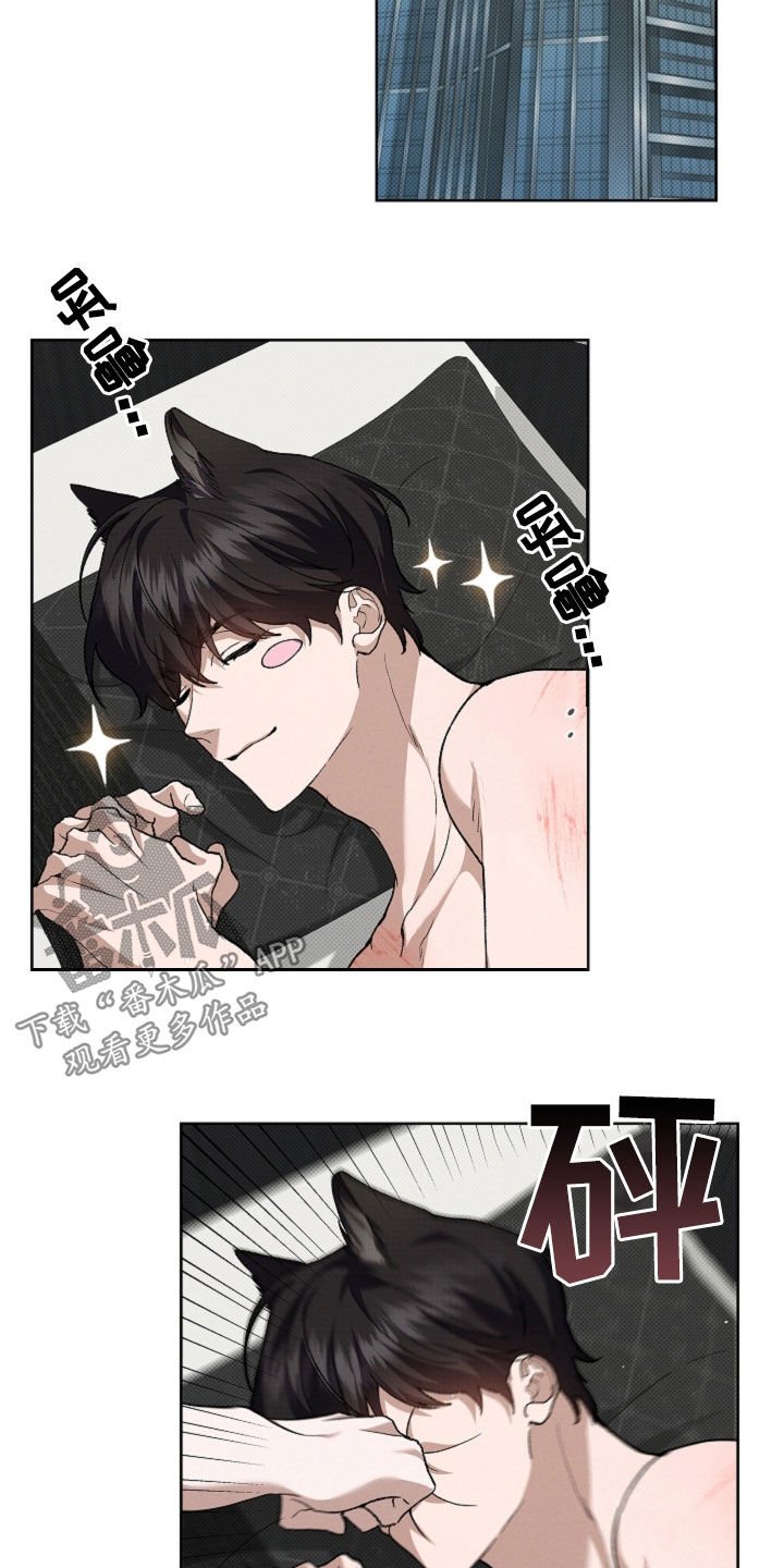 第61章：真好看