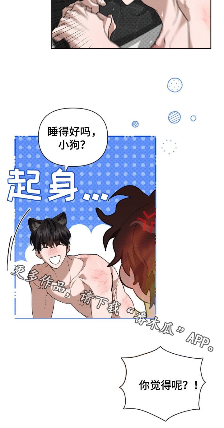 第61章：真好看