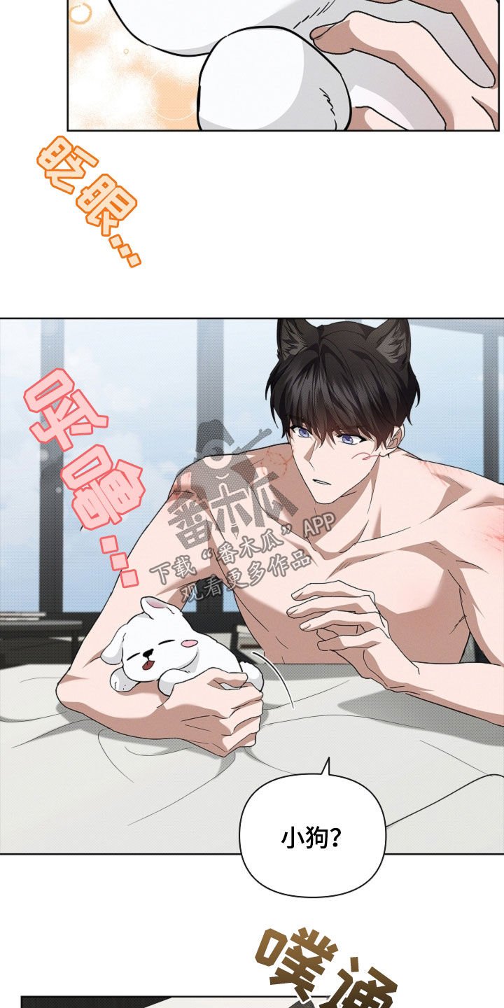 第62章：食人狼