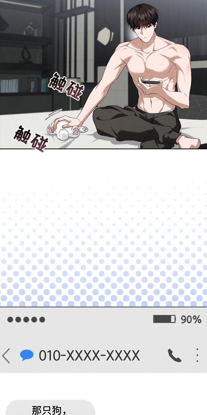 第63章：命运的安排