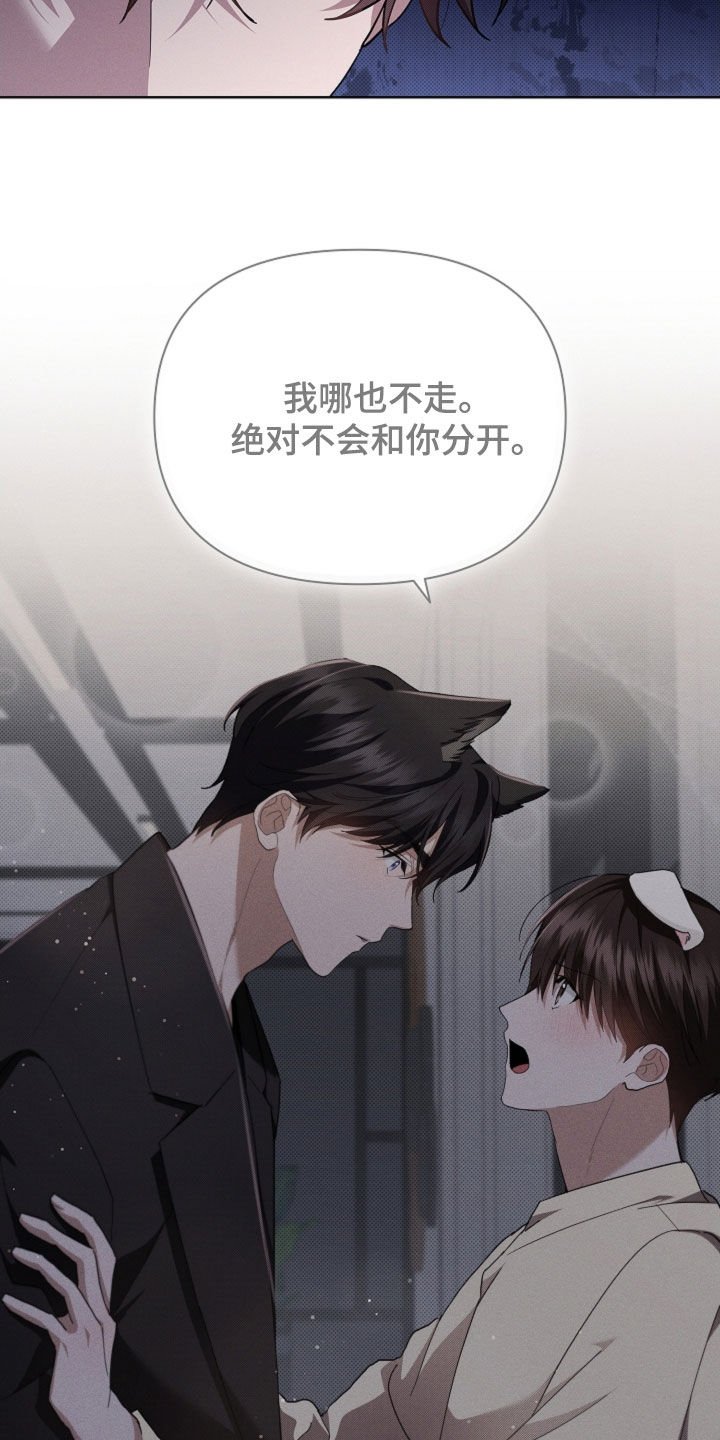 第63章：命运的安排
