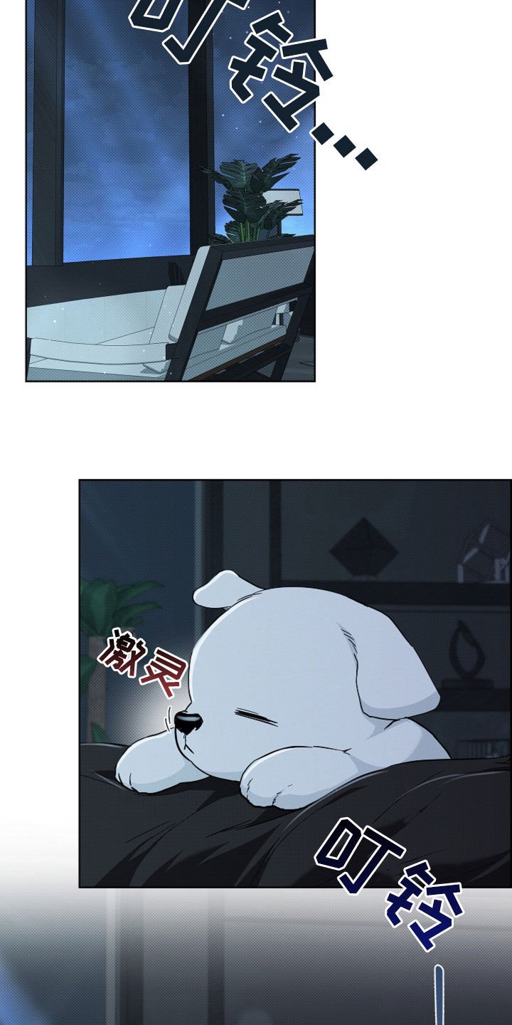 第63章：命运的安排