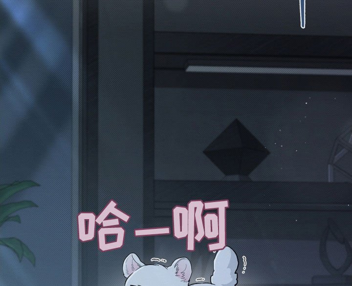 第63章：命运的安排