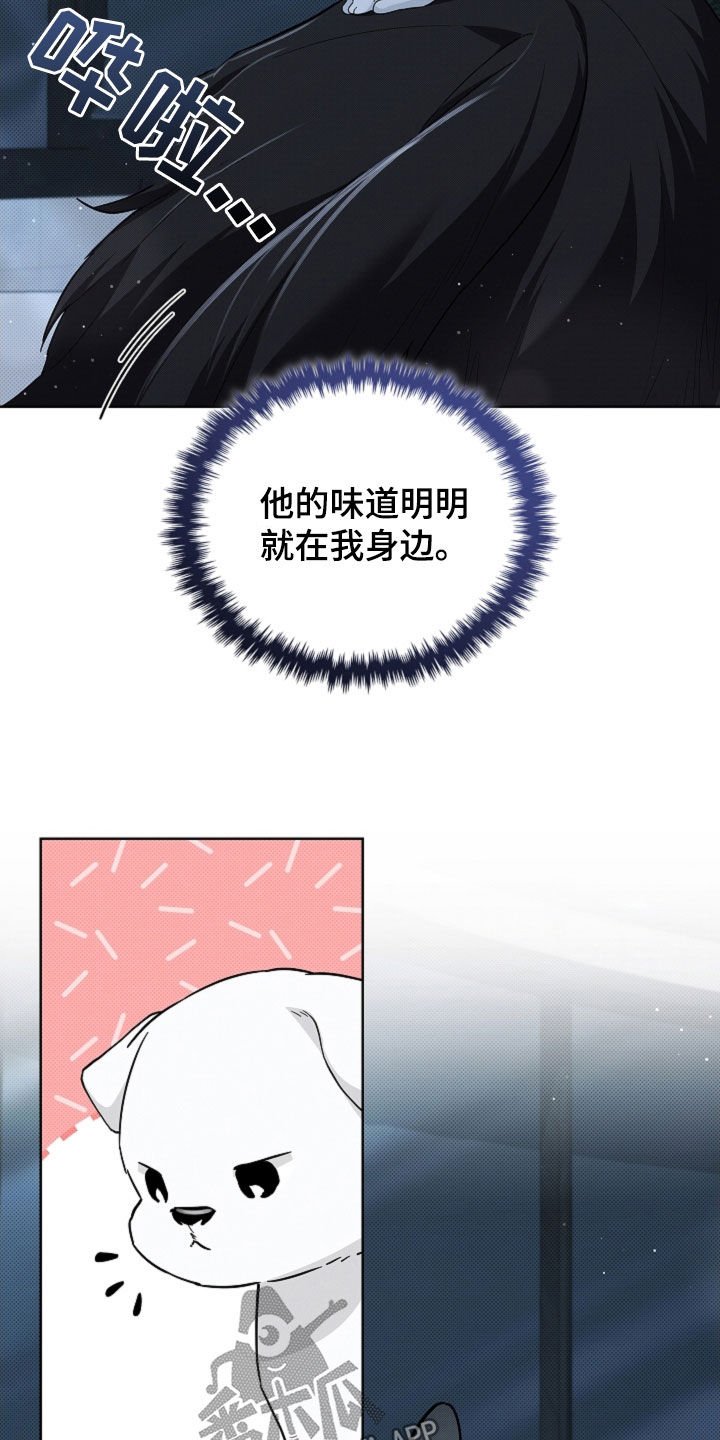 第63章：命运的安排