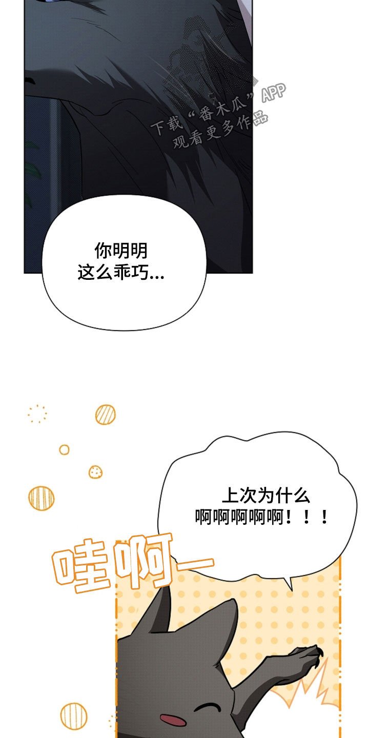 第64章：我们得结婚了
