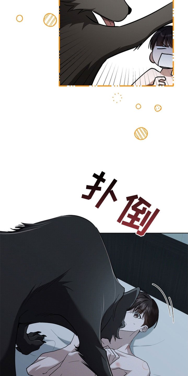 第64章：我们得结婚了