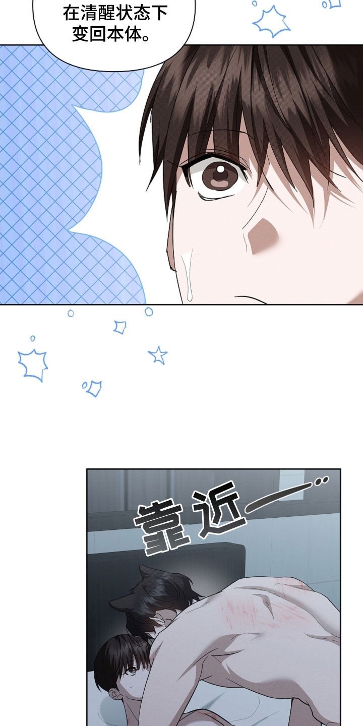 第64章：我们得结婚了