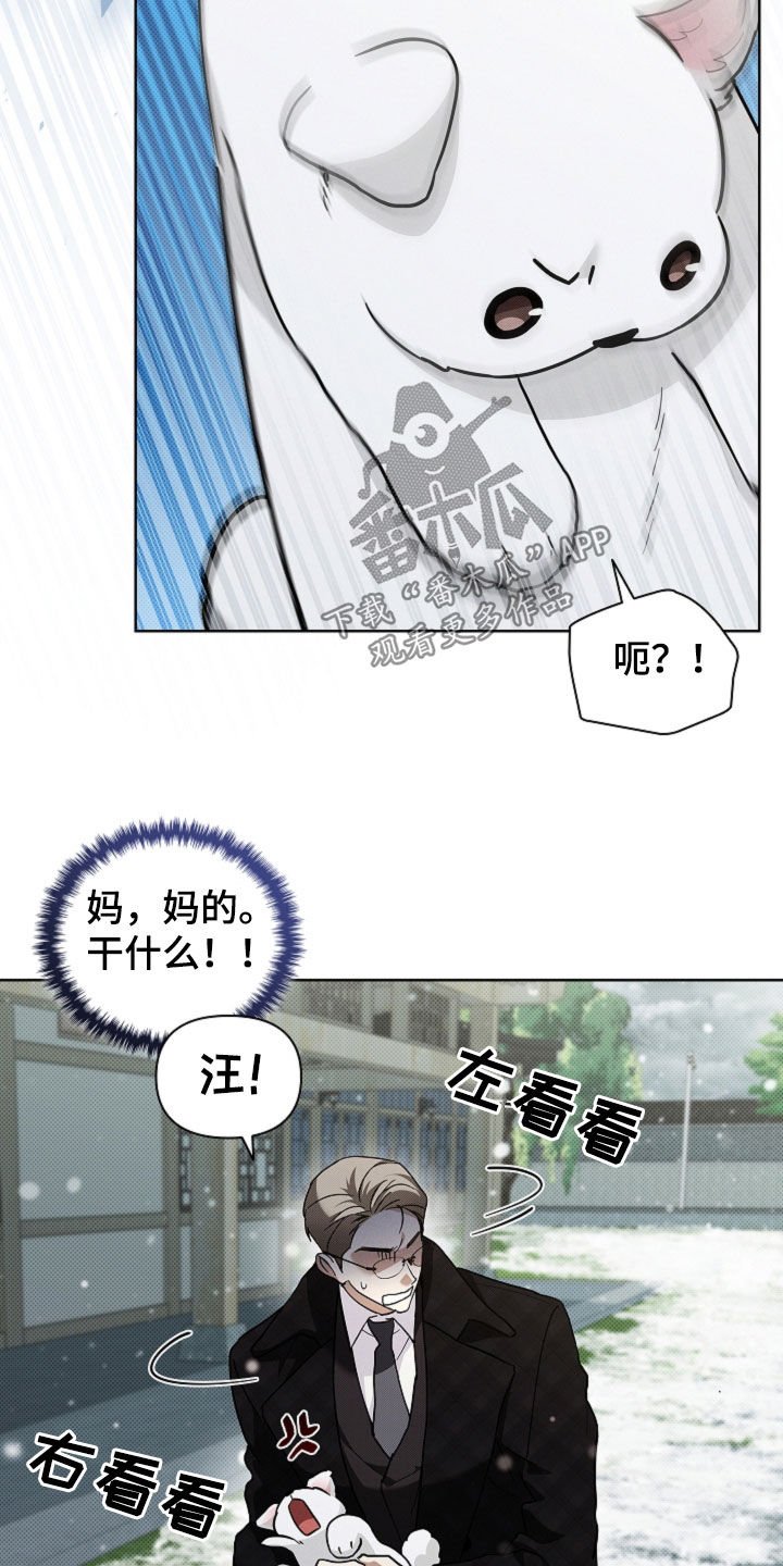第80章：【第二季】疯狼