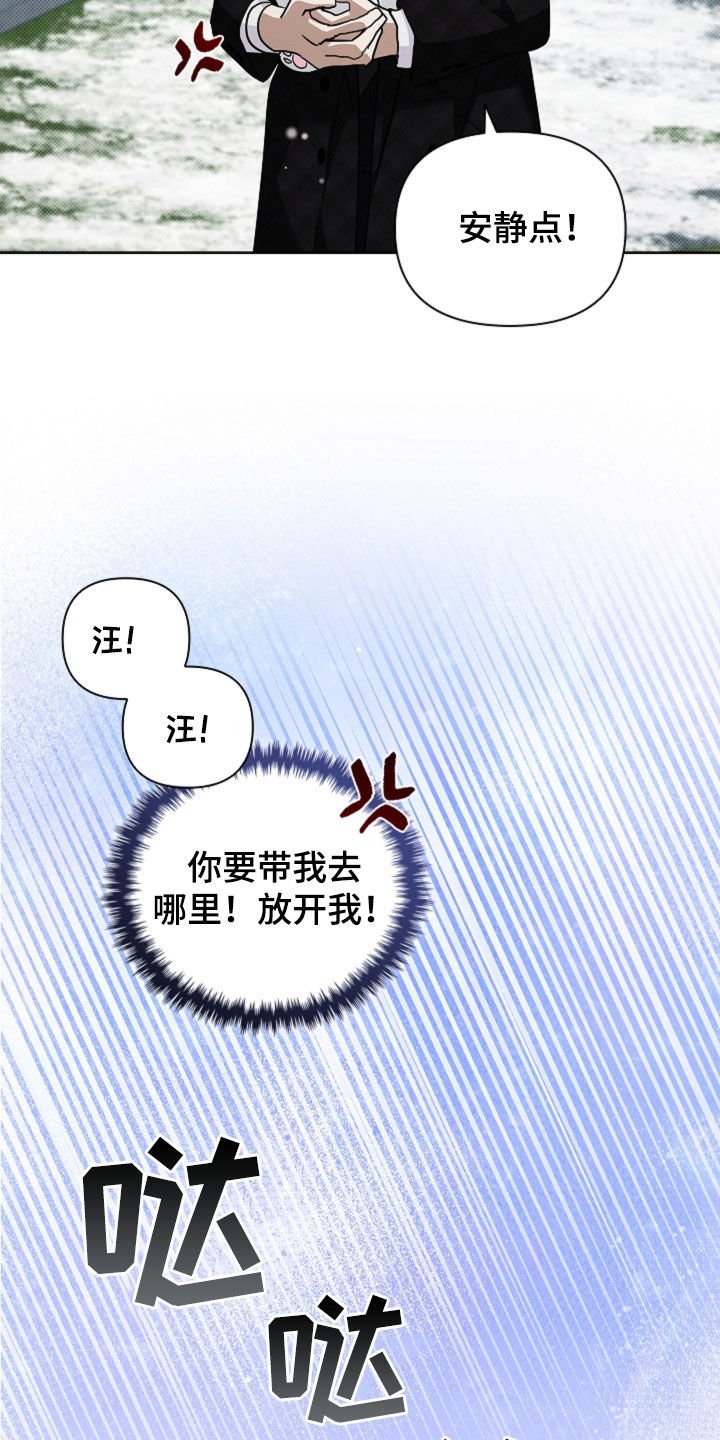 第80章：【第二季】疯狼
