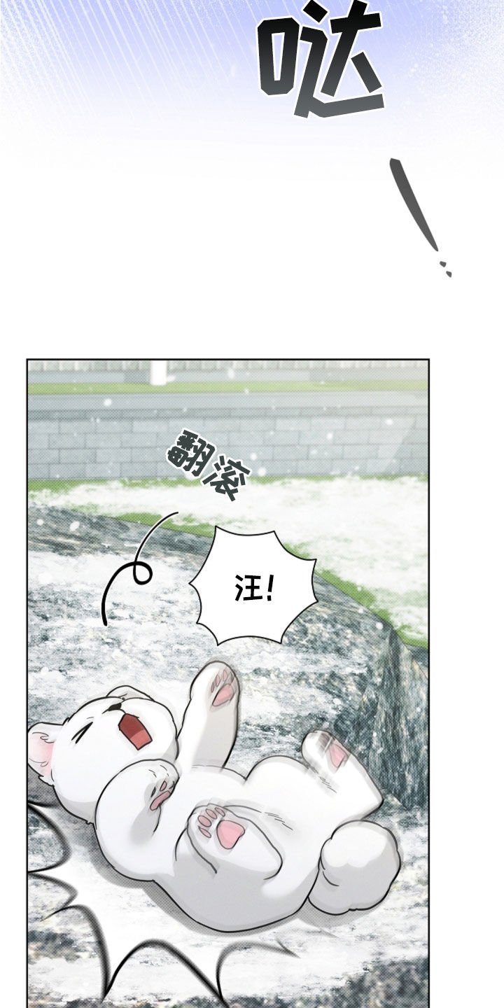 第80章：【第二季】疯狼