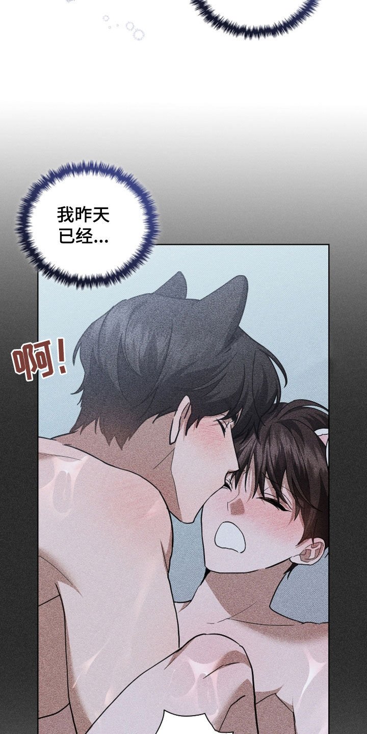 第81章：【第二季】冤大头