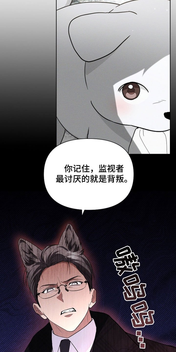 第81章：【第二季】冤大头