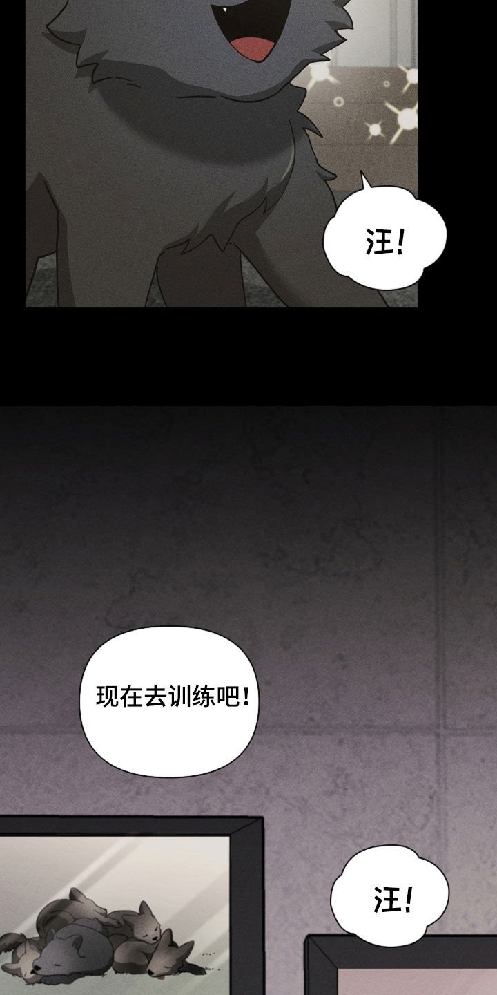 第85章：【第二季】医院生活