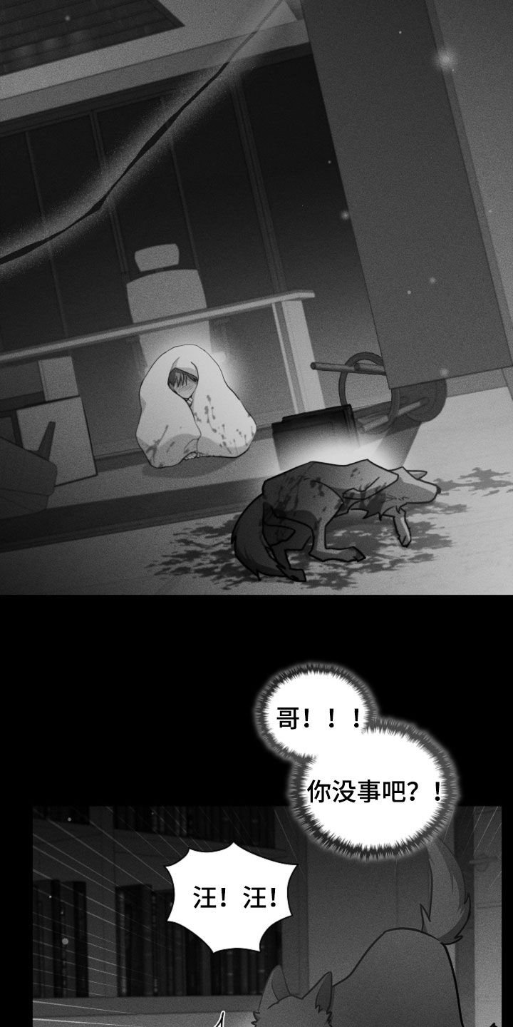 第85章：【第二季】医院生活