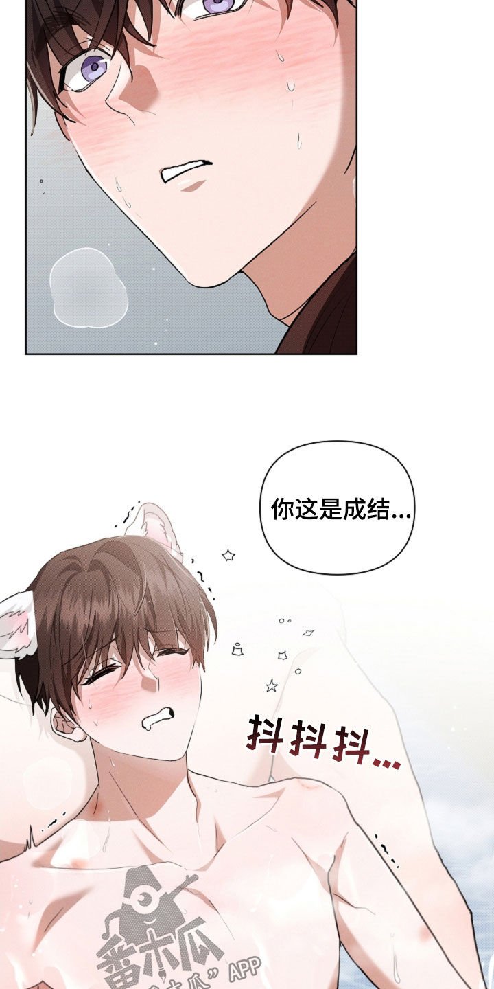 第96章：【第二季完结】双向奔赴