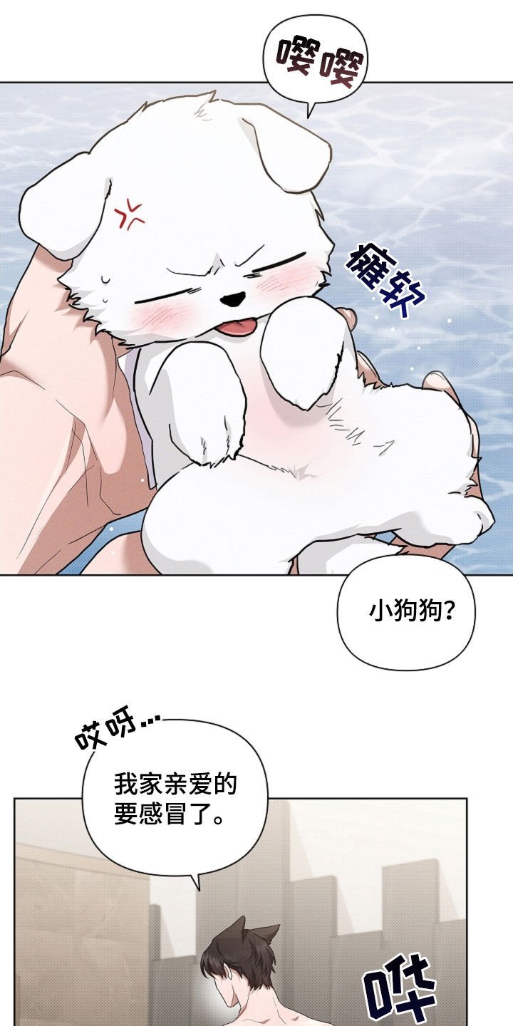 第96章：【第二季完结】双向奔赴
