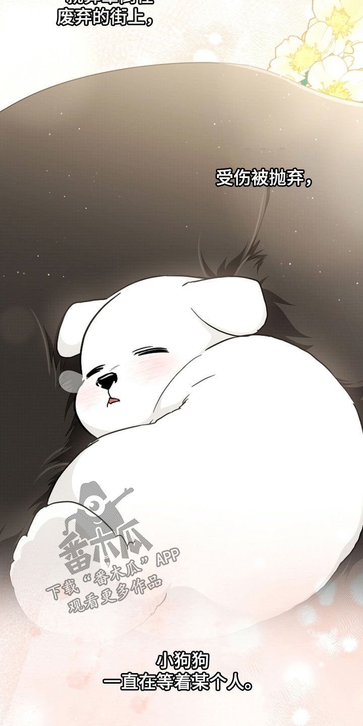 第96章：【第二季完结】双向奔赴