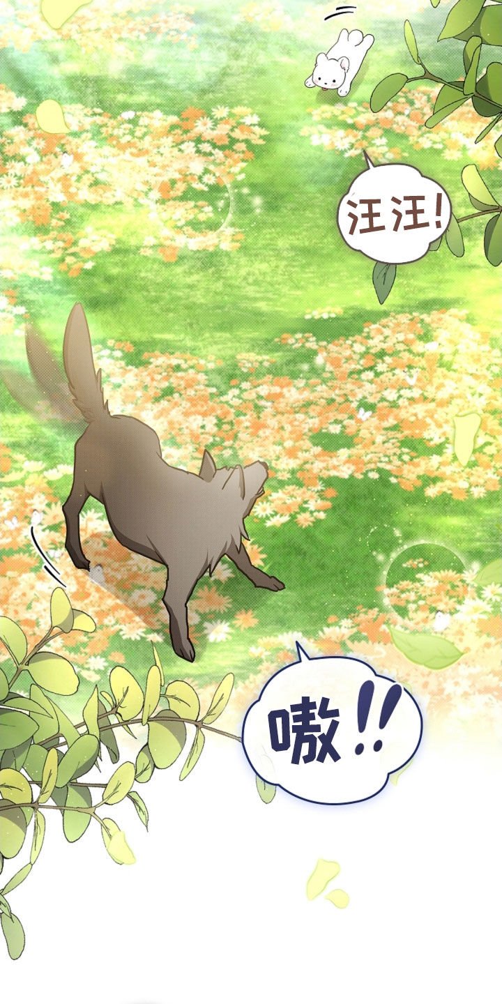 第96章：【第二季完结】双向奔赴