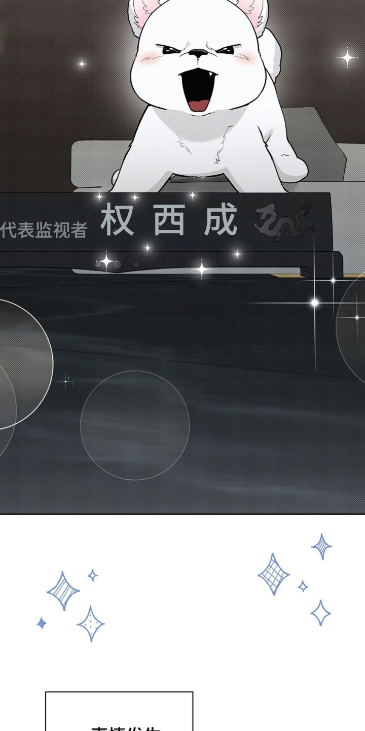 第97章：【番外】代表监视者
