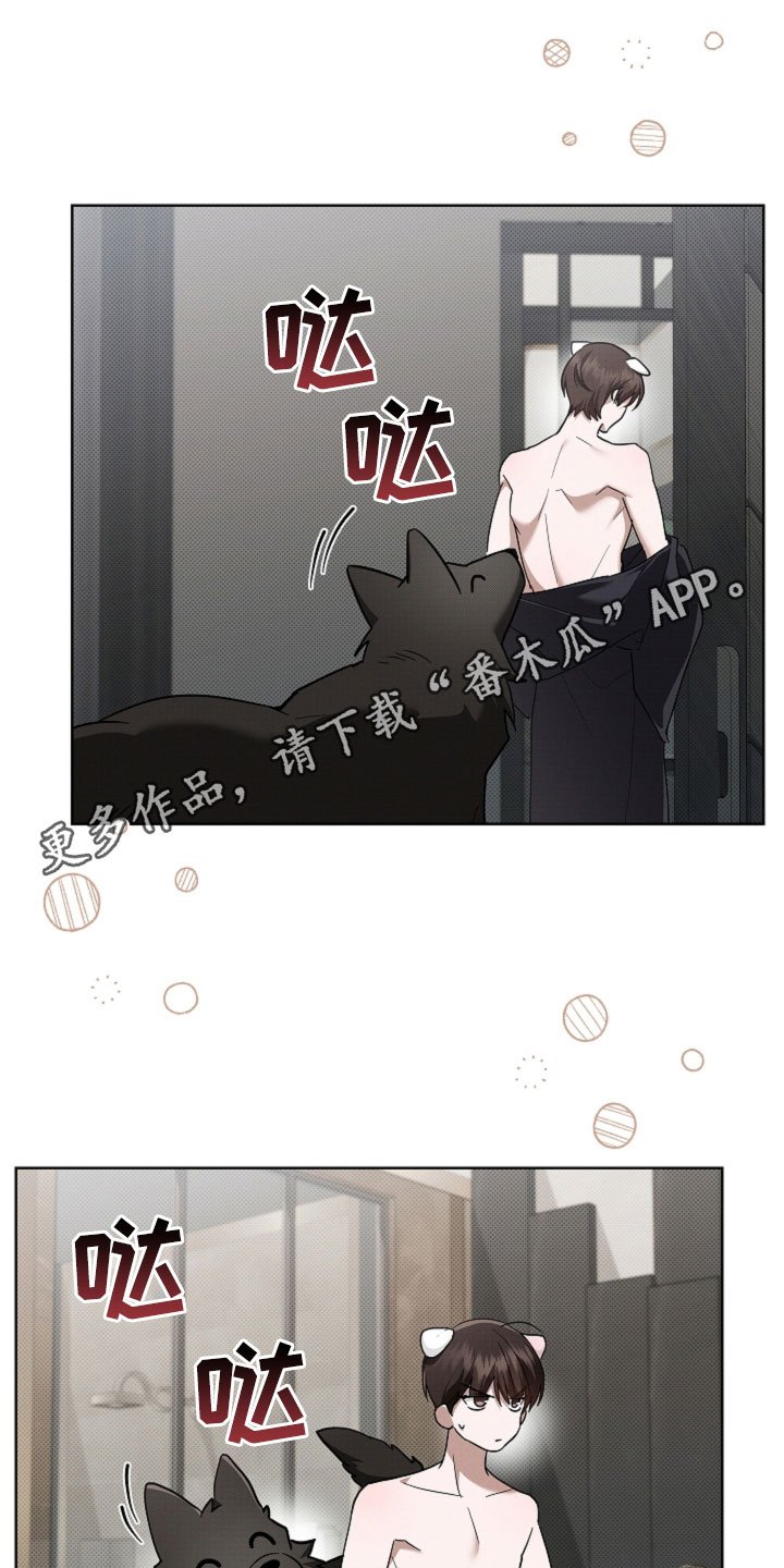 第98章：【番外】真固执