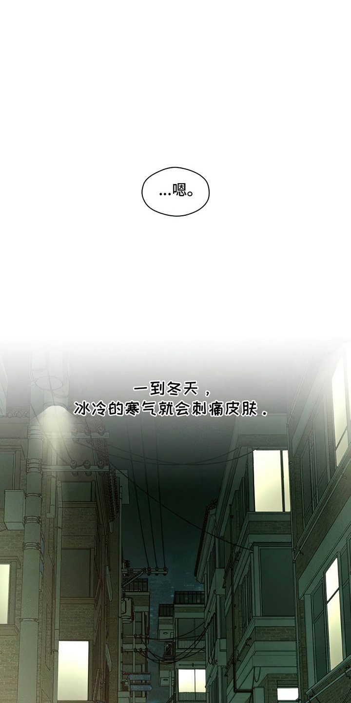 第12章：新奇体验