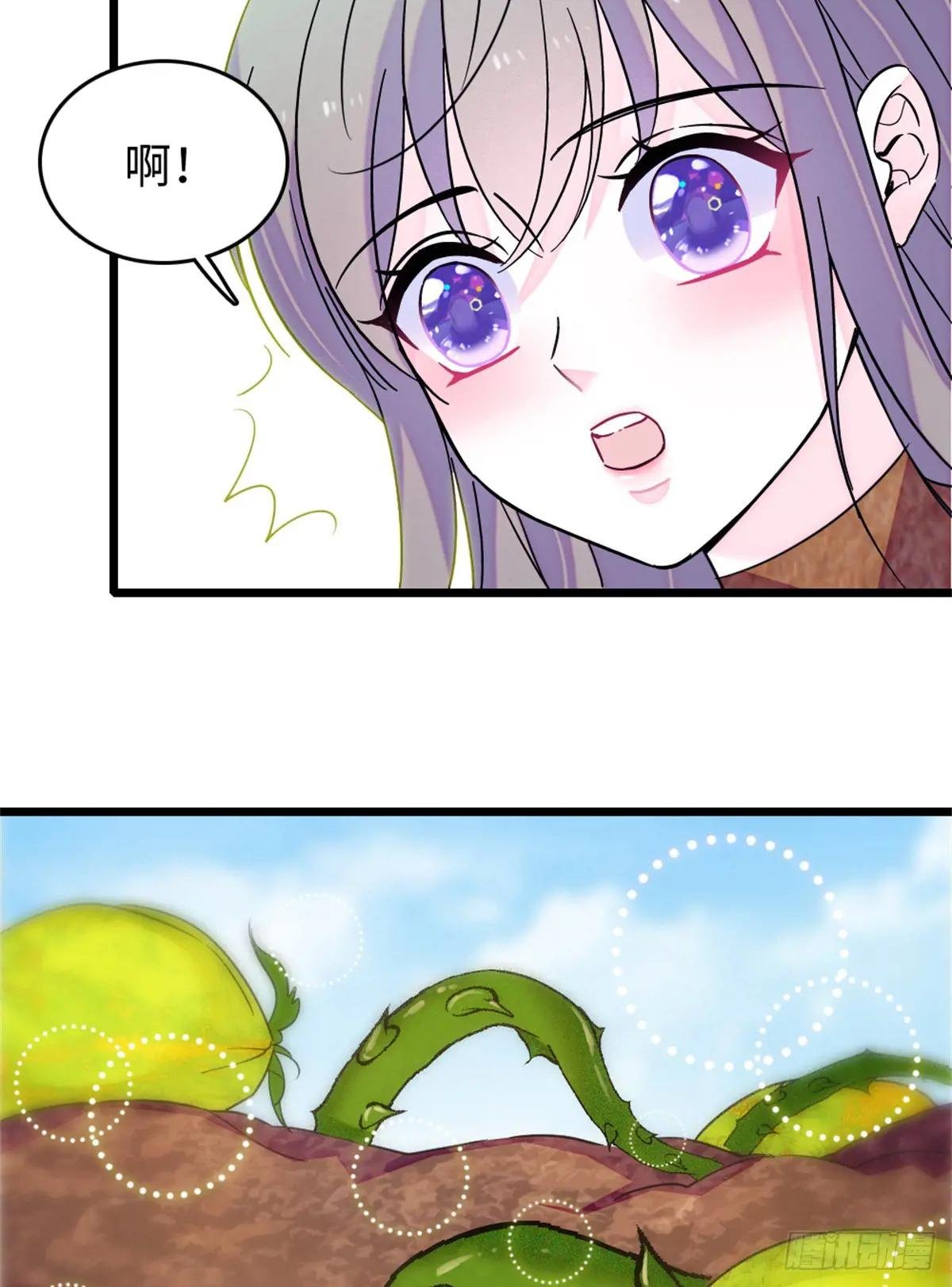 第117话
