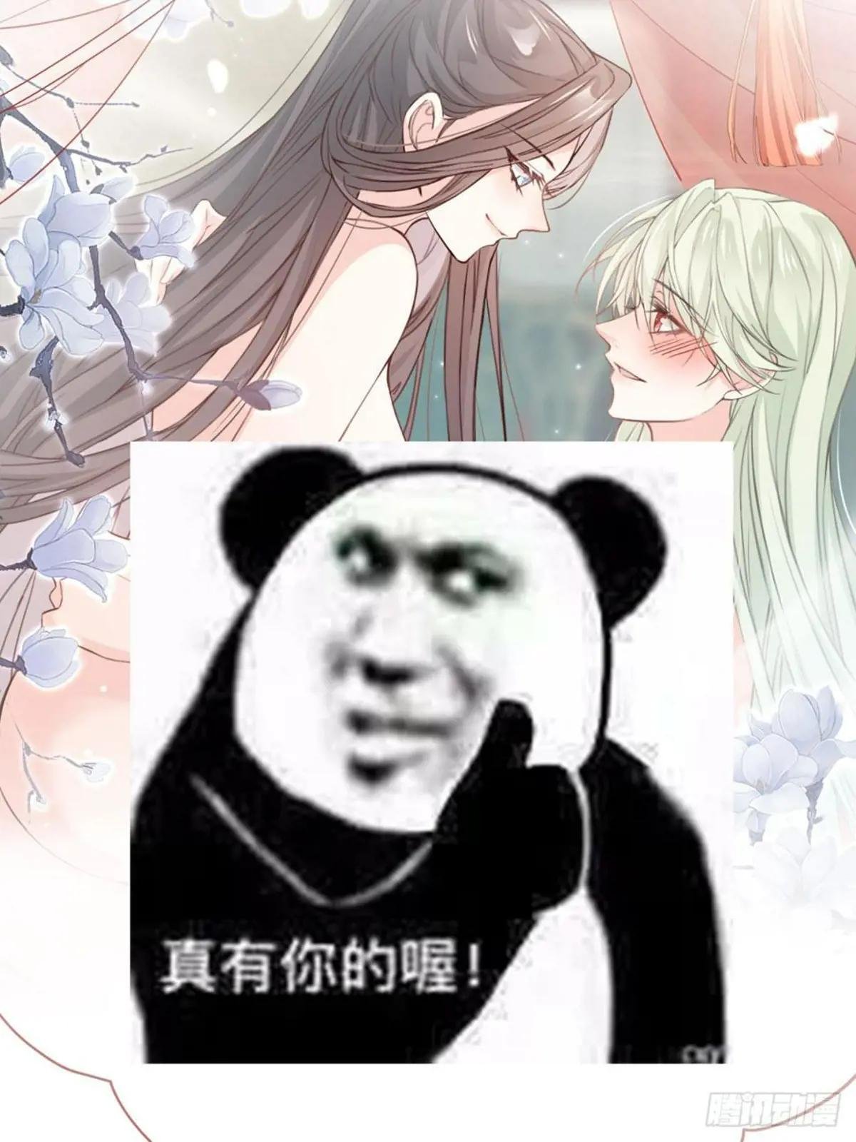 正式预告