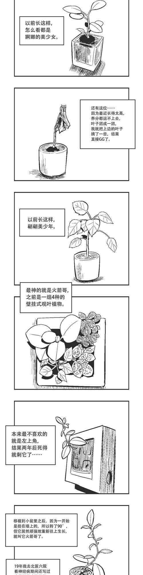 17话