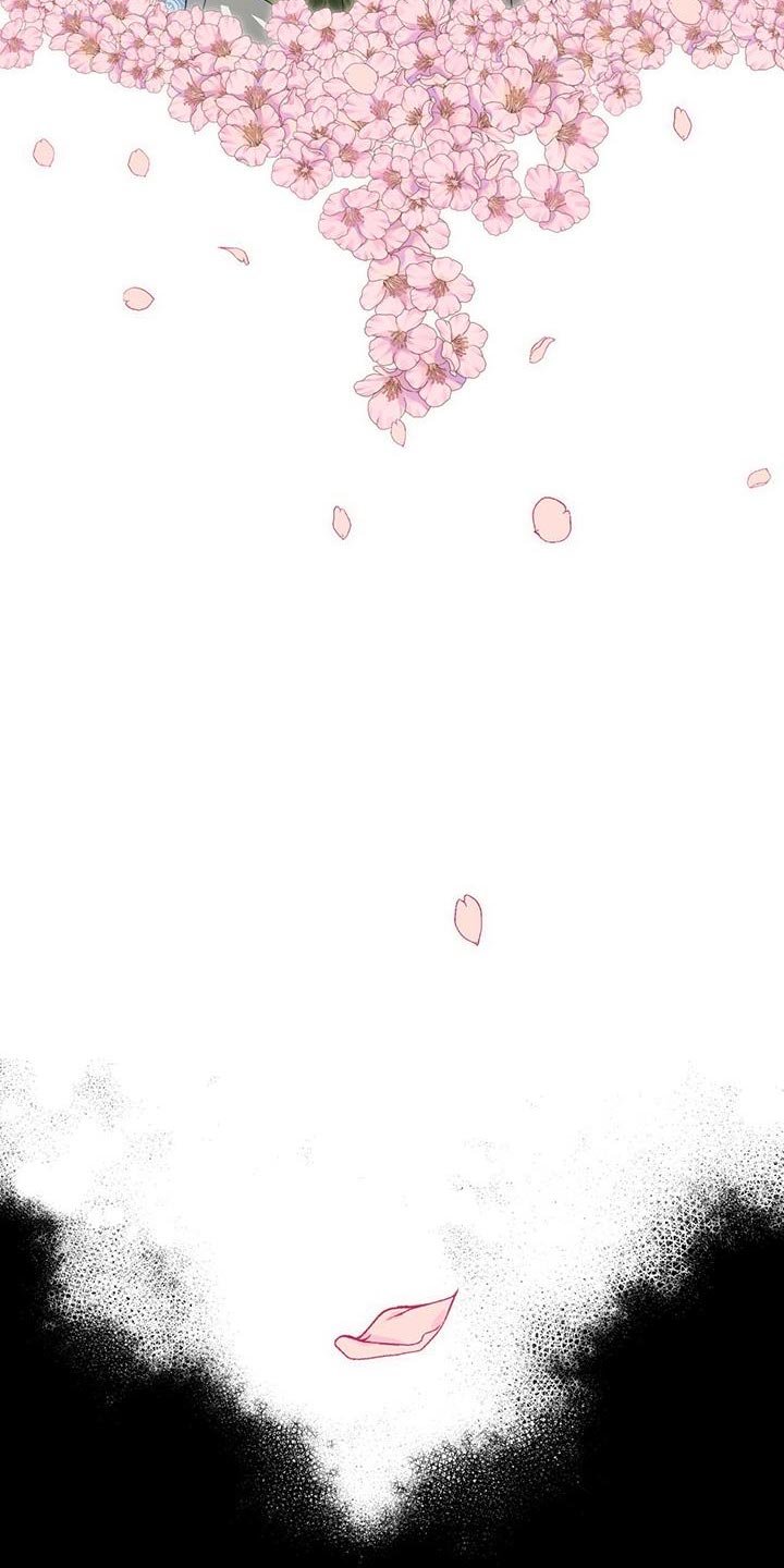 第19章：内幕