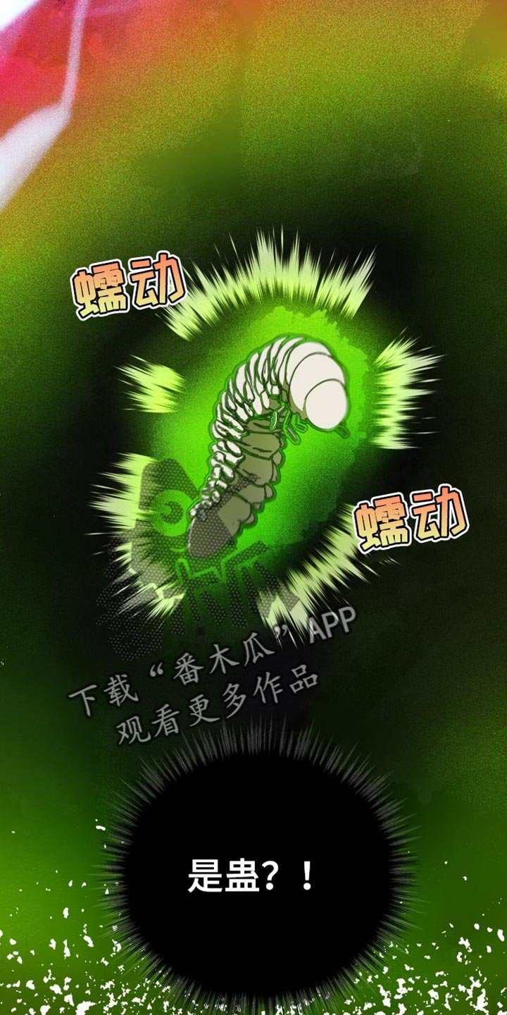 第70章：真是个傻子