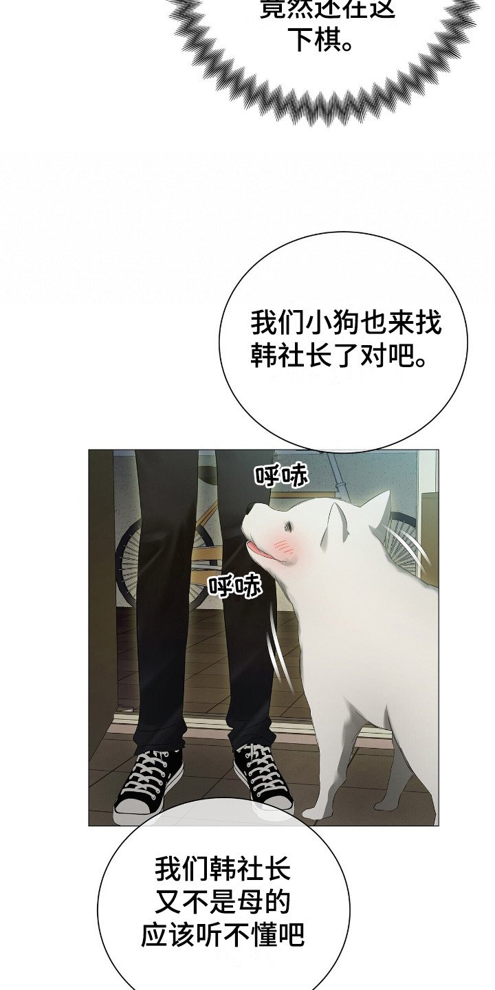 第11章：厚脸皮