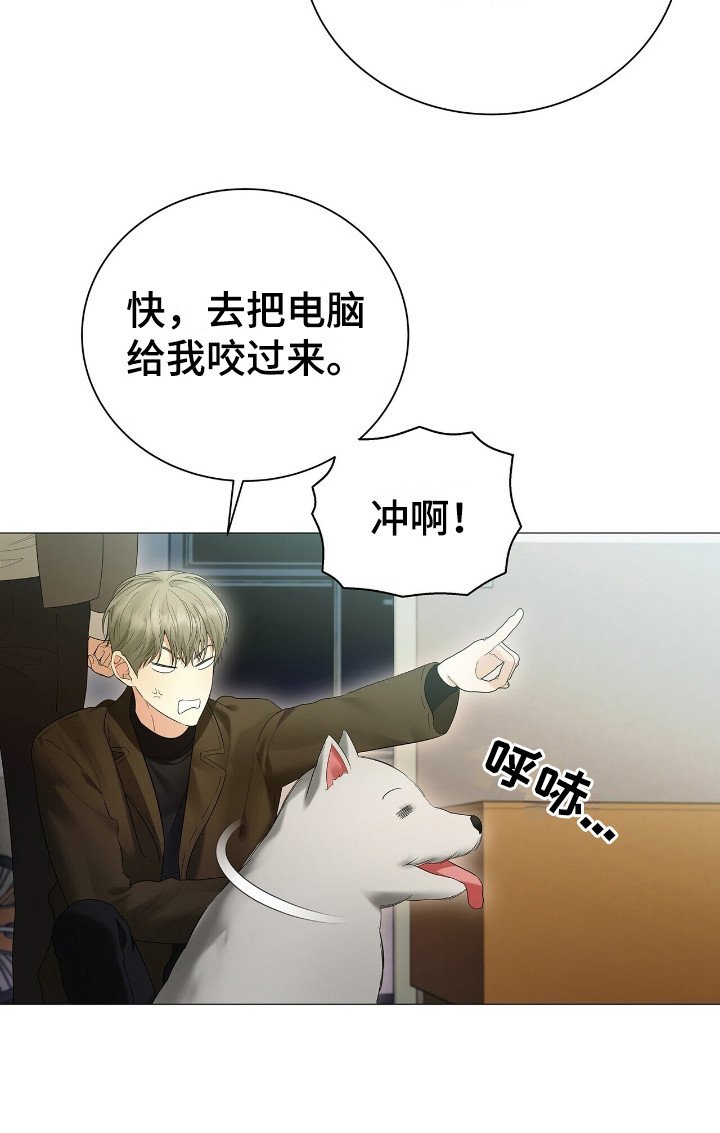 第11章：厚脸皮