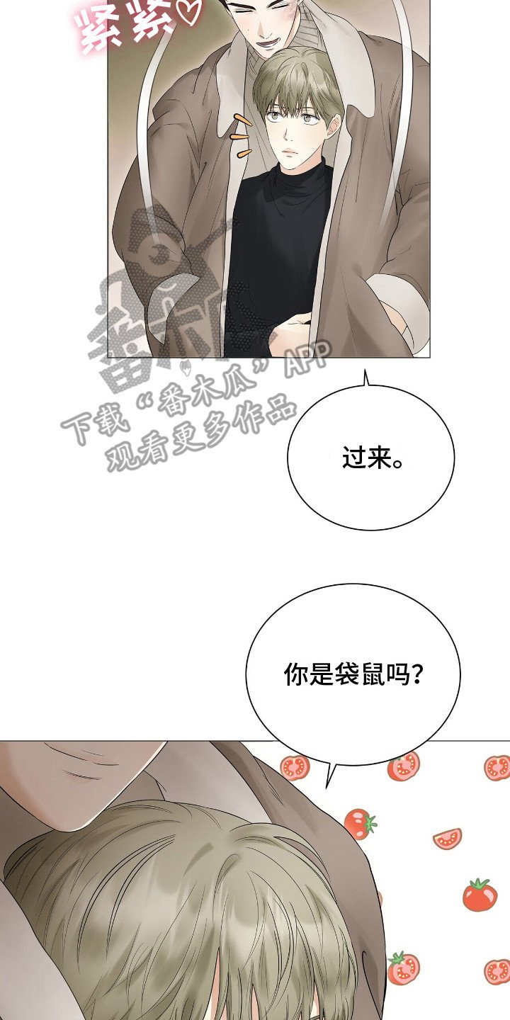 第16章：转告