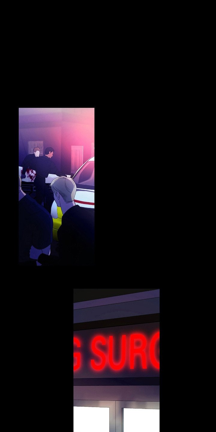 第19章：凤凰社团