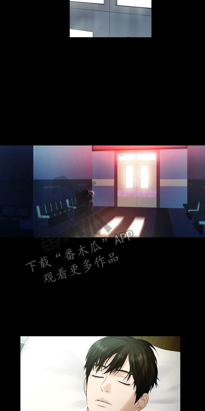 第19章：凤凰社团