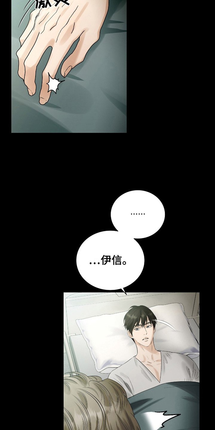 第19章：凤凰社团
