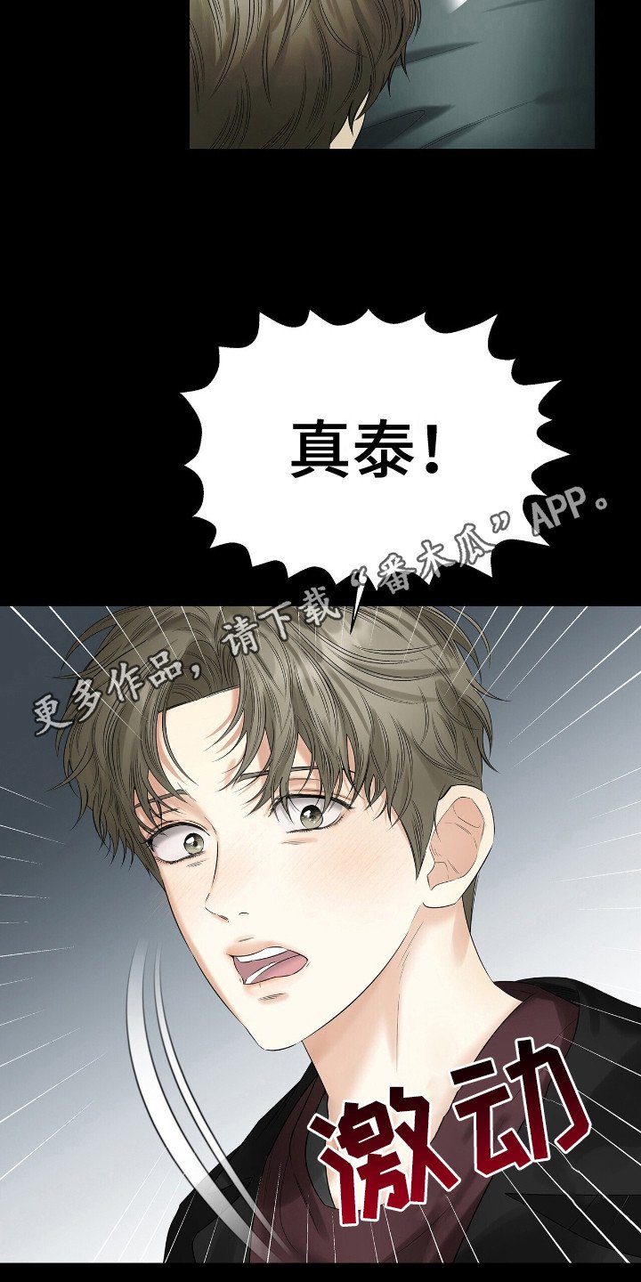 第19章：凤凰社团